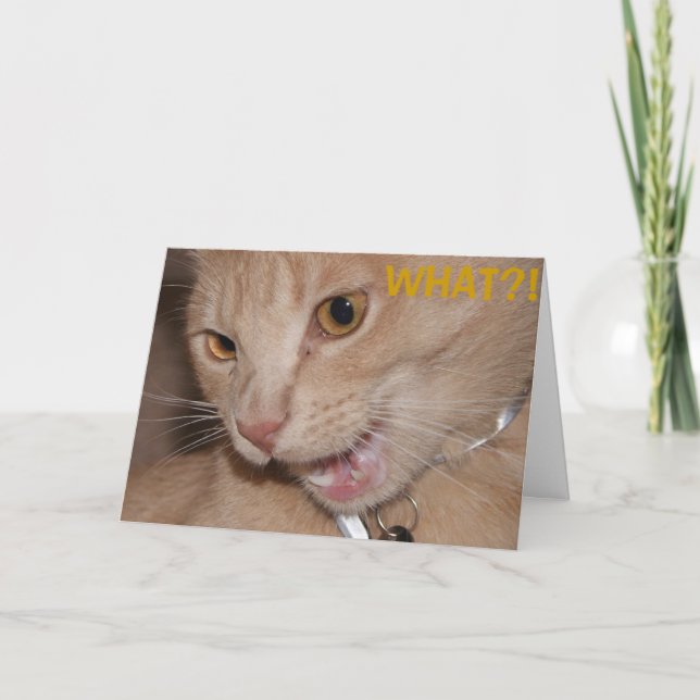 VAD? Är du så gammal? Kort (Framsida)