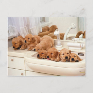 Vad är en Bath? Discovery BathTime för identifieri Vykort