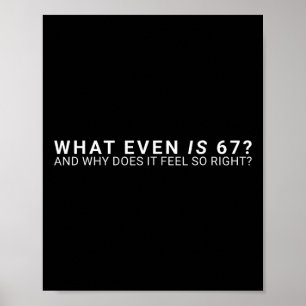 Vad är ens 67 meme poster