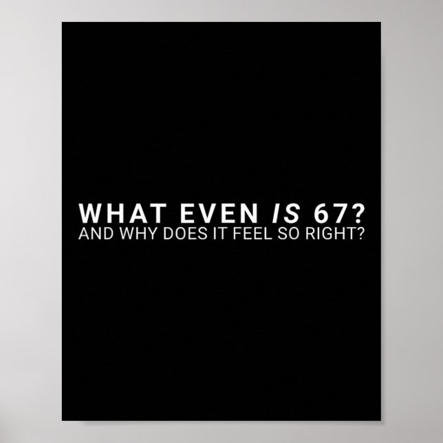 Vad är ens 67 meme  poster (Framsidan)
