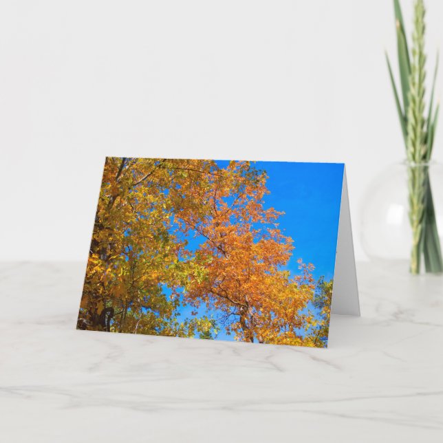 Vad är Fall Card Kort (Framsida)