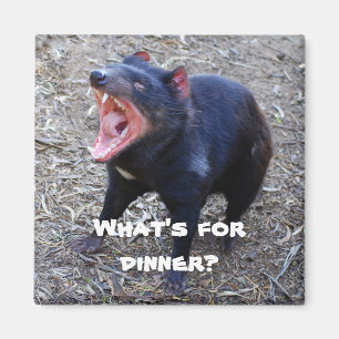 "Vad är för middag?" Tasmanian Djävulen Magnet