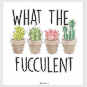 Vad är Fucculent Cactus Gift? Klistermärken