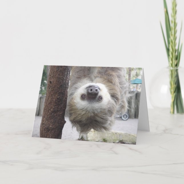 Vad är Hangin? Kort (Framsida)