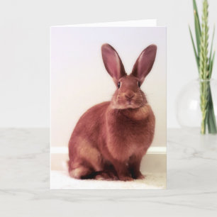 Vad är hoppenin? Kort
