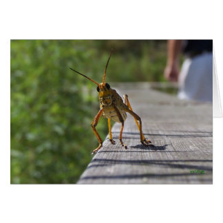 Vad är Hoppin? (med text) Hälsningskort