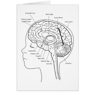 Vad är i din hjärna hälsningskort