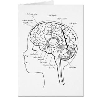 Vad är i din hjärna hälsningskort