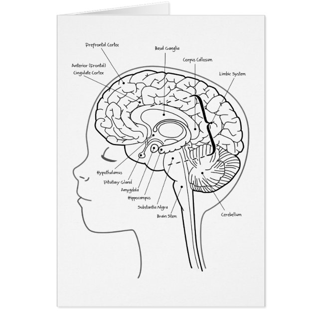 Vad är i din hjärna hälsningskort (Framsidan)