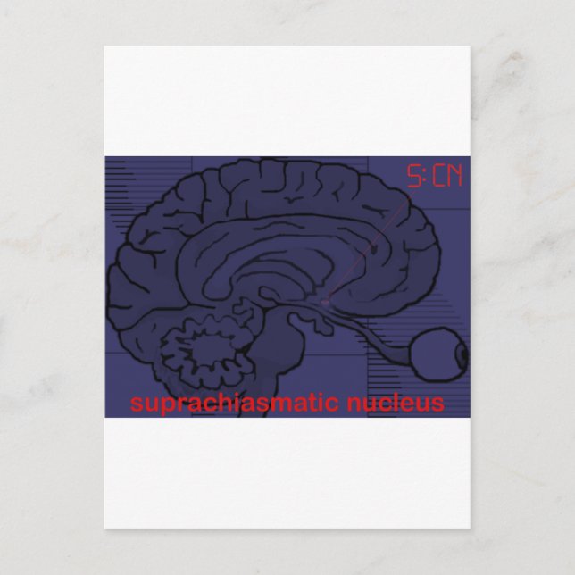 Vad är klockan? Fråga min SCN Vykort (Framsida)