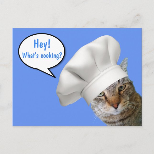 Vad är kokning? Chef Cat Vykort (Framsida)