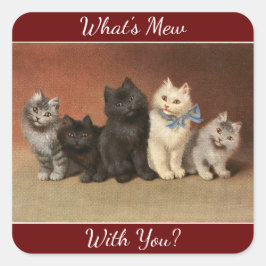 Vad är Mew Cats Sticker? Fyrkantigt Klistermärke
