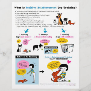 Vad är Pos Reinf? Hund? FLYERS