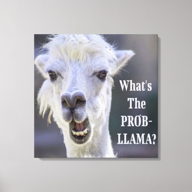 Vad är Prob-Llama? Cute Funny LLAMA Canvastryck (Framsida)