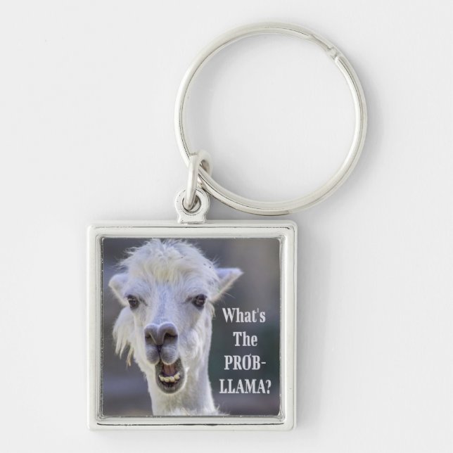Vad är Prob-Llama? Cute Funny LLAMA Fyrkantig Silverfärgad Nyckelring (Framsidan)