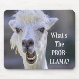 Vad är Prob-Llama? Cute Funy LLAMA Musmatta