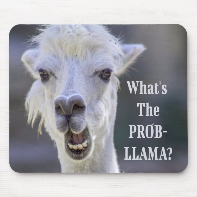 Vad är Prob-Llama? Cute Funy LLAMA Musmatta (Framsidan)
