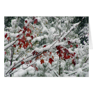 Vad är rött och vitt och snö? OBS kort