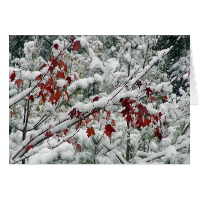 Vad är rött och vitt och snö? OBS kort (Framsidan Horizontal)