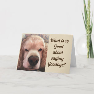 VAD ÄR "SÅ BRA" OM ATT SÄGA ***GOODBYE?** KORT