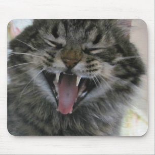 Vad är så roligt? Jag är en katt du inte är Musmatta
