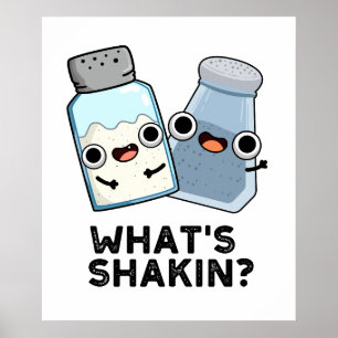 Vad är Shakin Funny Salt och Pepper Shaker Pun Poster