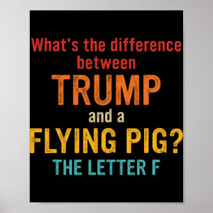 Vad är skillnaden mellan Trump och en flygande P Poster