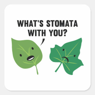 Vad är Stomata med dig? Fyrkantigt Klistermärke