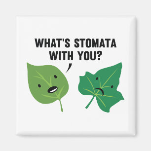 Vad är Stomata med dig? Magnet