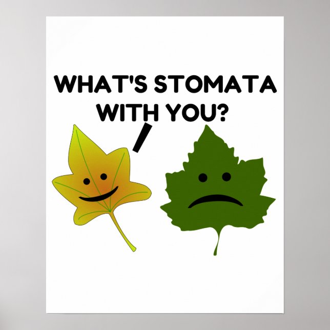 Vad är Stomata? Poster (Framsidan)