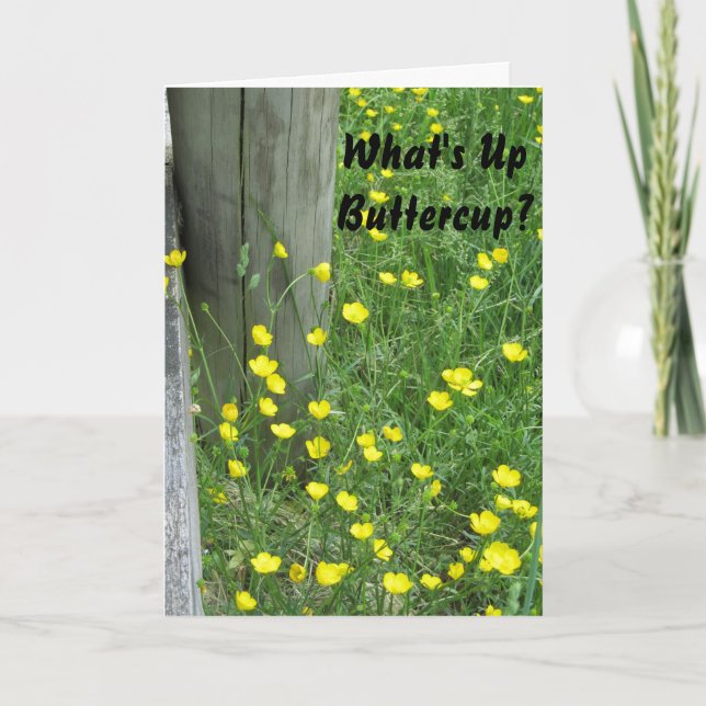 Vad är upp Buttercup-Vart Missin dig" Fröcken, Kort (Framsida)