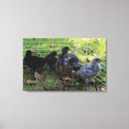 Vad är upp - den fega ändan canvastryck