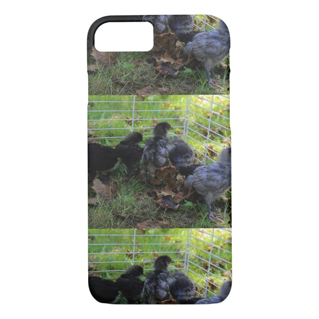 Vad är upp - den fega ändan Case-Mate iPhone skal (Baksida)