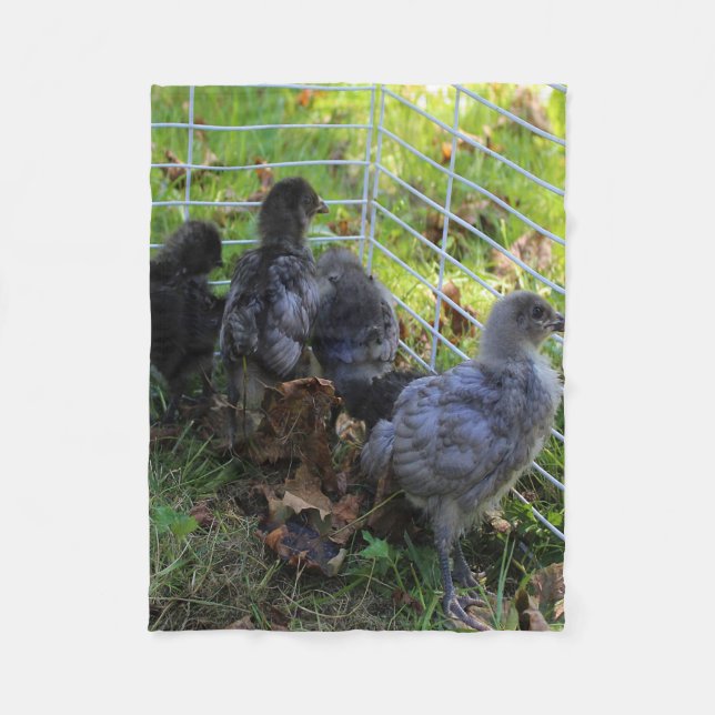 Vad är upp - den fega ändan fleecefilt (Framsidan)