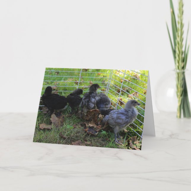 Vad är upp - den fega ändan kort (Framsida)