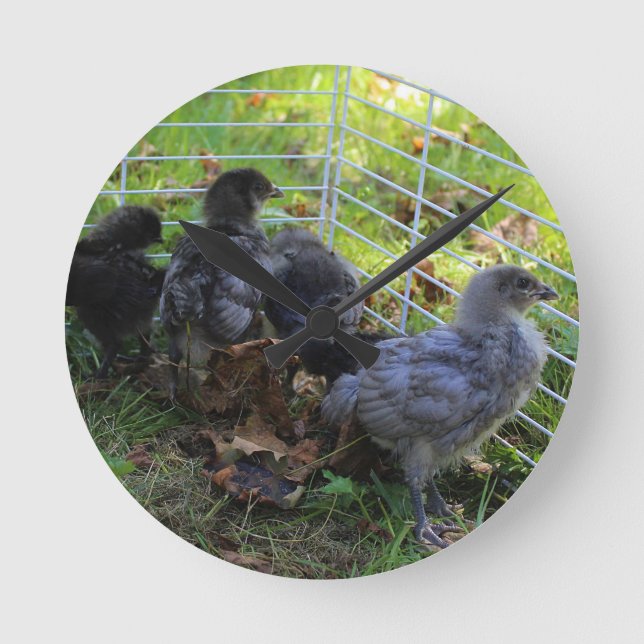 Vad är upp - den fega ändan rund klocka (Framsida)