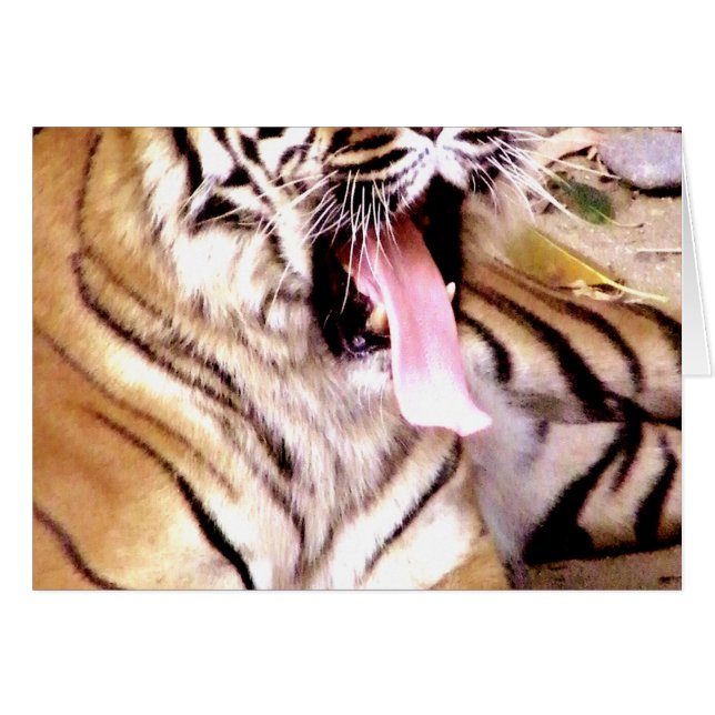 Vad är upp_ hälsningskort (Framsidan Horizontal)