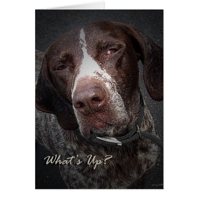 Vad är upp? hälsningskort (Framsidan)