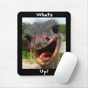 Vad är Upp Ostrich? Musmatta