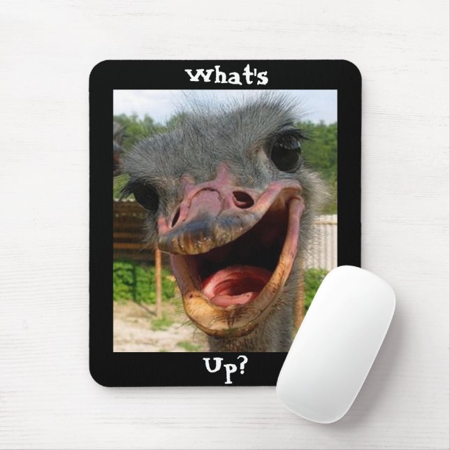 Vad är Upp Ostrich? Musmatta (Med mus)