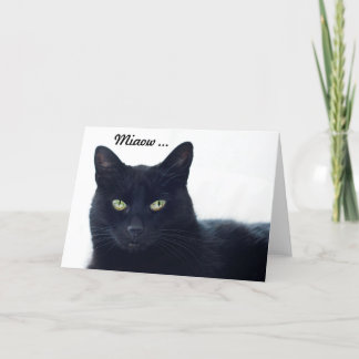 Vad berättar denna katt oss på en födelsedag? kort