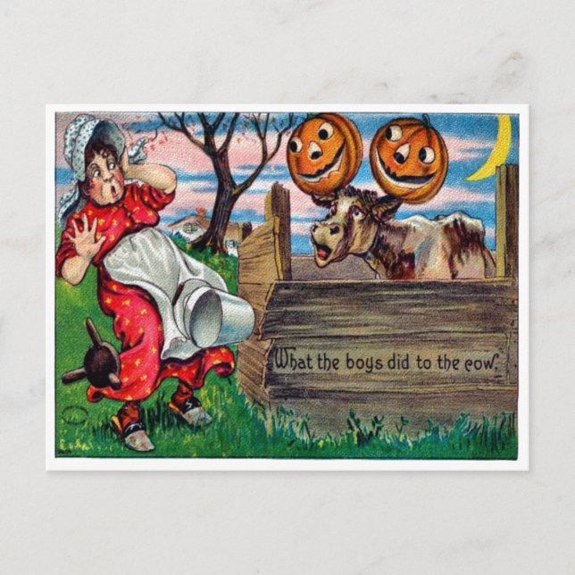 Vad bojorna gjorde med vykortet för kor vykort (Framsida)