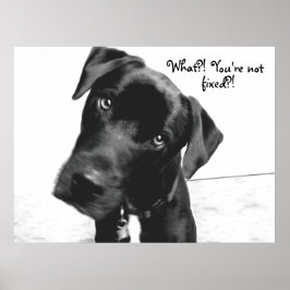 Vad då? Är du inte, fixad?! Poster