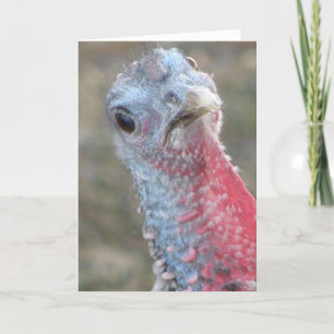 Vad då? Blandat Turkiet, God jul Helgkort