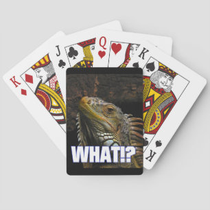 Vad då? Iguana Casinokort