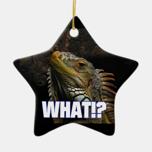 Vad då? Iguana Julgransprydnad Keramik (Framsidan)