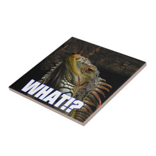 Vad då? Iguana Kakelplatta