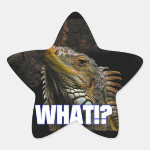 Vad då? Iguana Stjärnformat Klistermärke