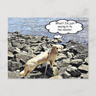 Vad då? Jag ska bara säga hej till hummern Vykort