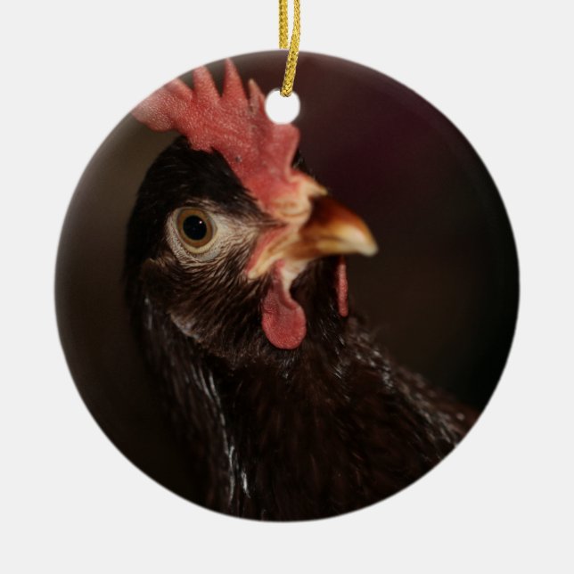 Vad då? julgransprydnad keramik (Framsidan)